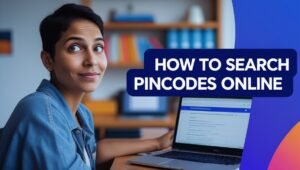 How to Search Pincodes Online